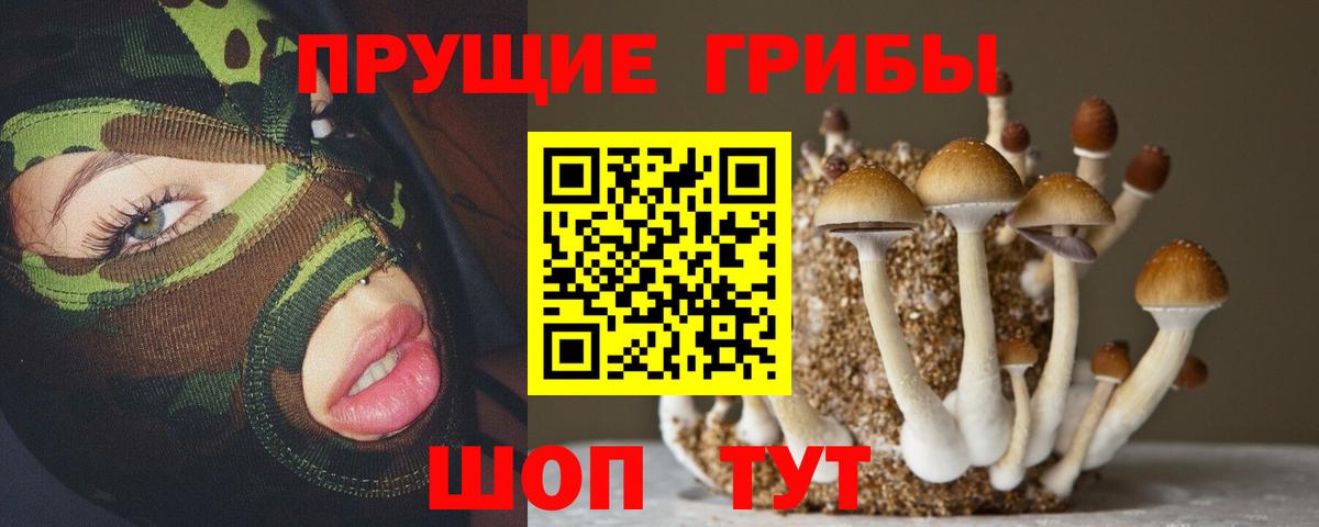 Псилоцибиновые грибы MAGIC MUSHROOMS  Вход с VPN  Братск  Галлюциногенные грибы мухоморы 